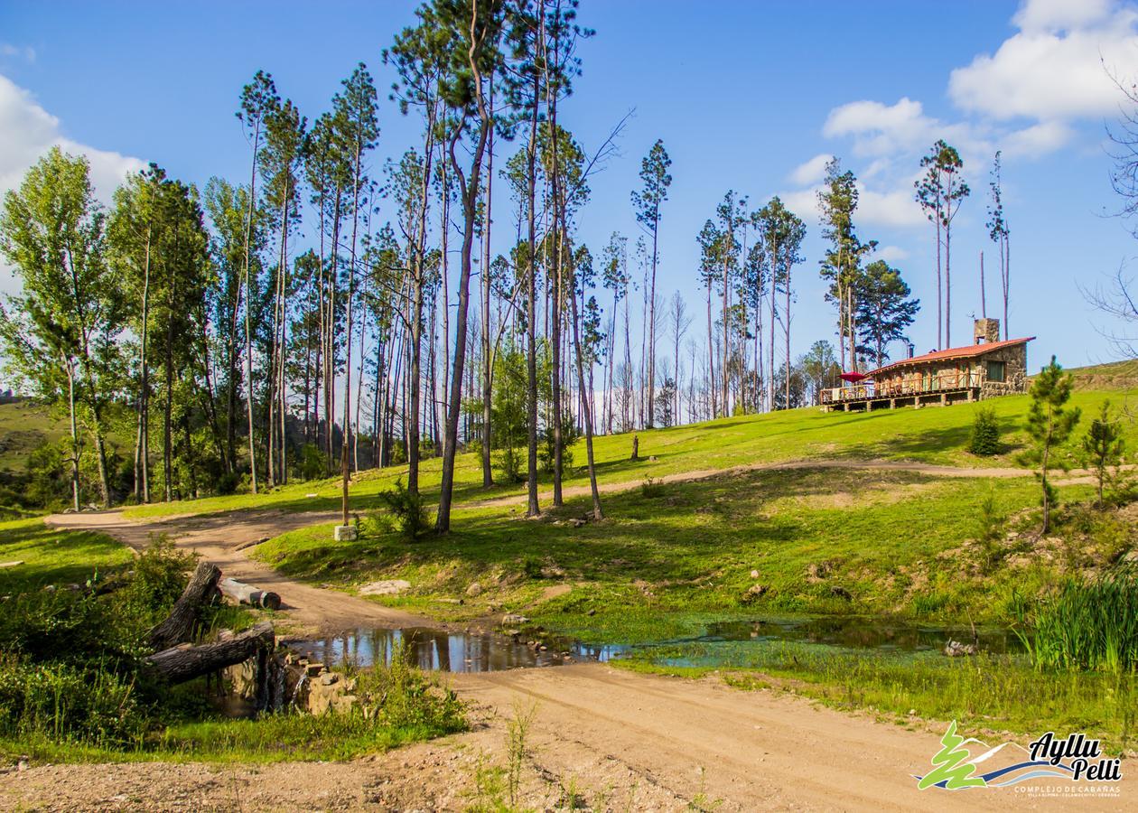 Chalet Ayllupelli *